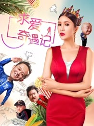 求愛(ài)奇遇記